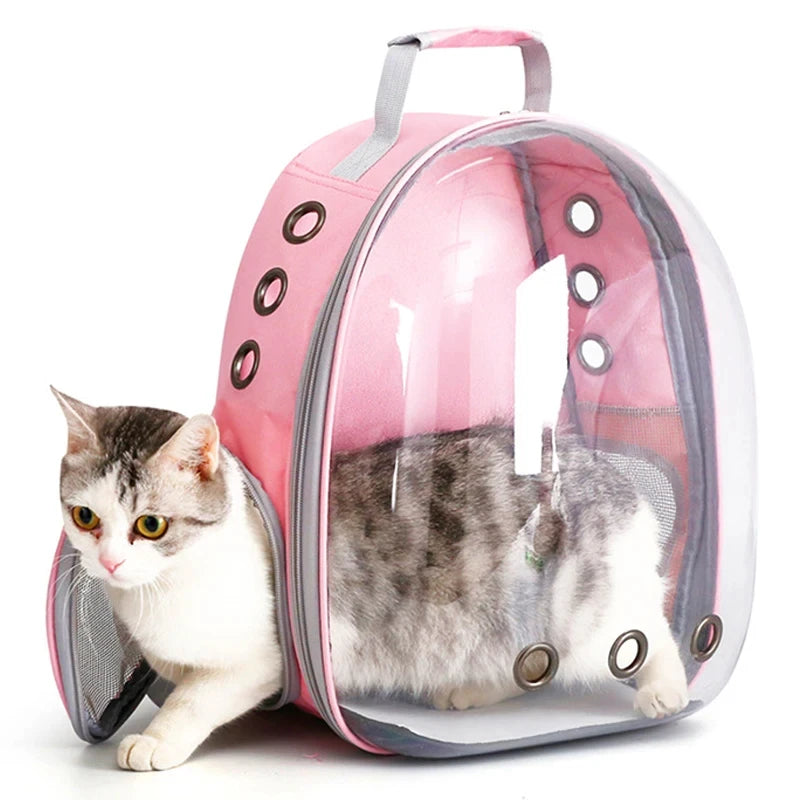 porte-bébé pour chat