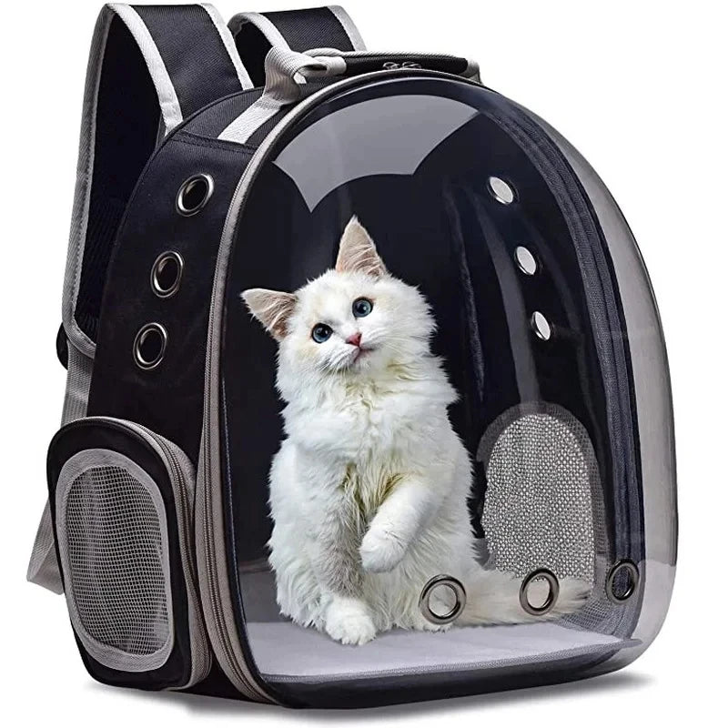 porte-bébé pour chat