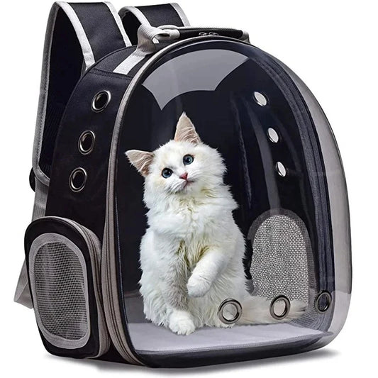 porte-bébé pour chat